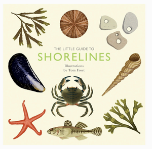 THE LITTLE GUIDE TO SHORELINES